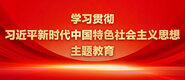 亚洲入口密乳一区二区蜜臀视频学习贯彻习近平新时代中国特色社会主义思想主题教育_fororder_ad-371X160(2)